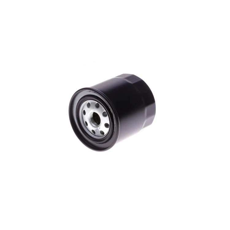 1017100-ED01 1012110-E02 1012100-E06 1012100-040300 High quality Auto parts Diesel Feed pump filter For great wall truck parts